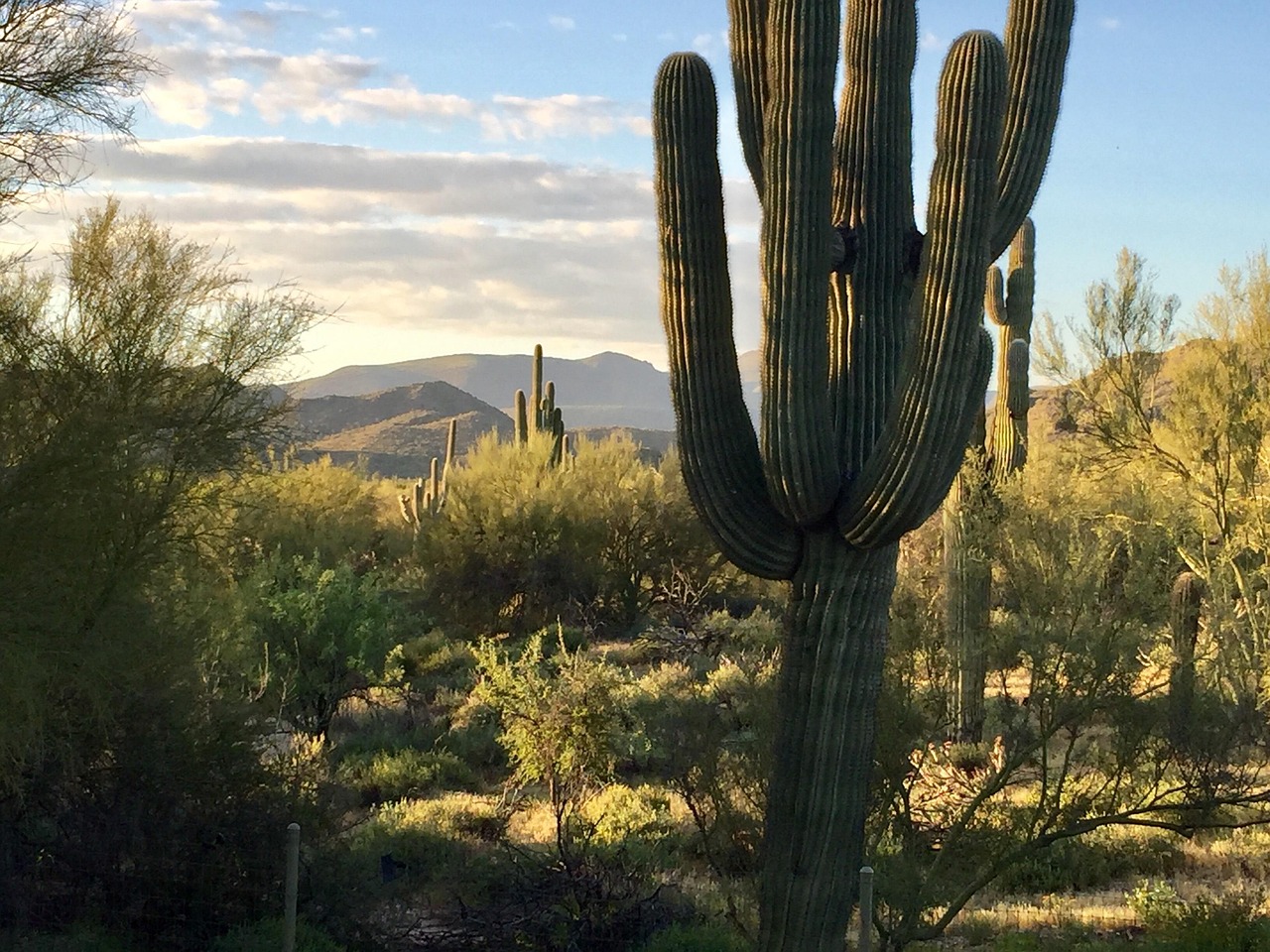 山东住房和城乡建设厅网站：政府网站建设与信息公开机制分析